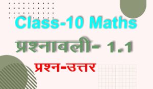 class 10 maths chapter 1 exercise 1.1 solutions in hindi medium