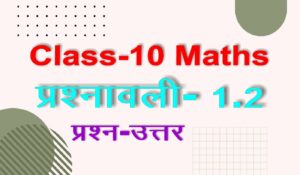 Class 10 Maths Chapter 1 Exercise 1.2 Solution In Hindi Medium